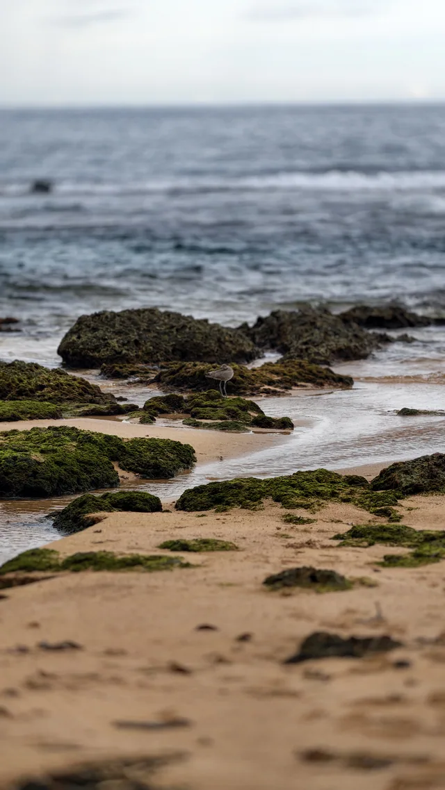 Waves meeting rocks on the Bocas del Toro shore