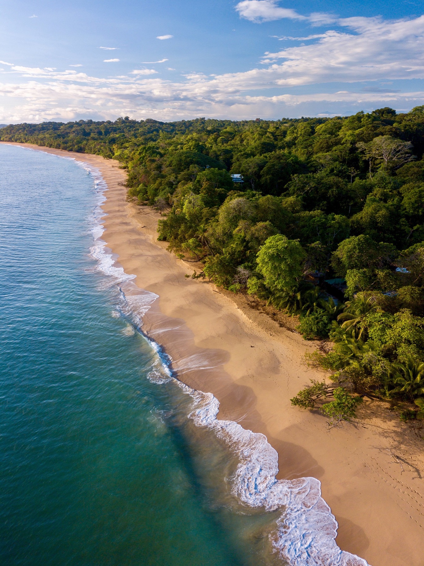 Aerial view of forest meeting the beach and sea along Playa Bluff